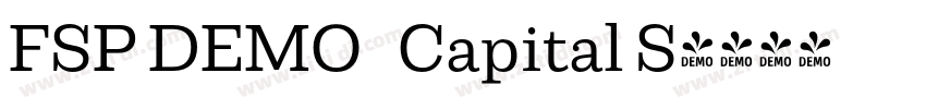 FSP DEMO   Capital S字体转换